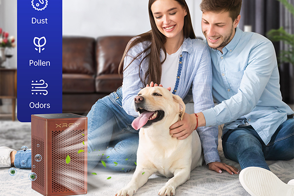 Use air purifier, fresh life from now on Use air purifier, fresh life from now on