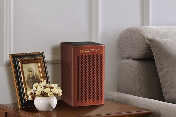 Do air purifiers need to be used every day  ? Do air purifiers need to be used every day  ?