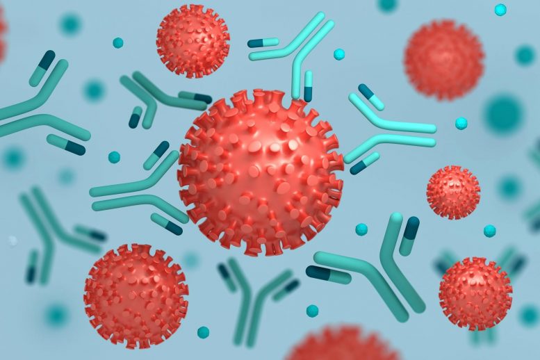 Rapid Method Finds Potent COVID-19 Antibody Among a Trillion Possibilities Rapid Method Finds Potent COVID-19 Antibody Among a Trillion Possibilities
