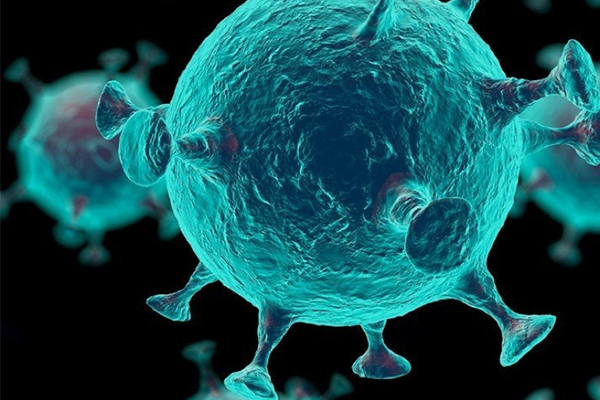 Is domestic nucleic acid testing accurate? Is domestic nucleic acid testing accurate?