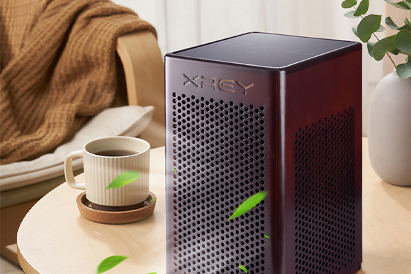 The role of air purifiers The role of air purifiers
